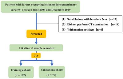 Clinical application of CT-based radiomics model in differentiation between laryngeal squamous cell carcinoma and squamous cell hyperplasia